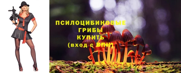 герыч Дмитриев