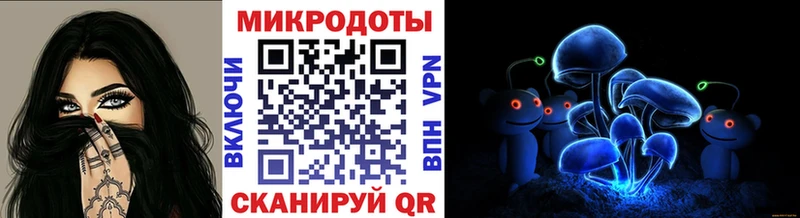 Псилоцибиновые грибы мицелий  Купить закладки  Короча 
